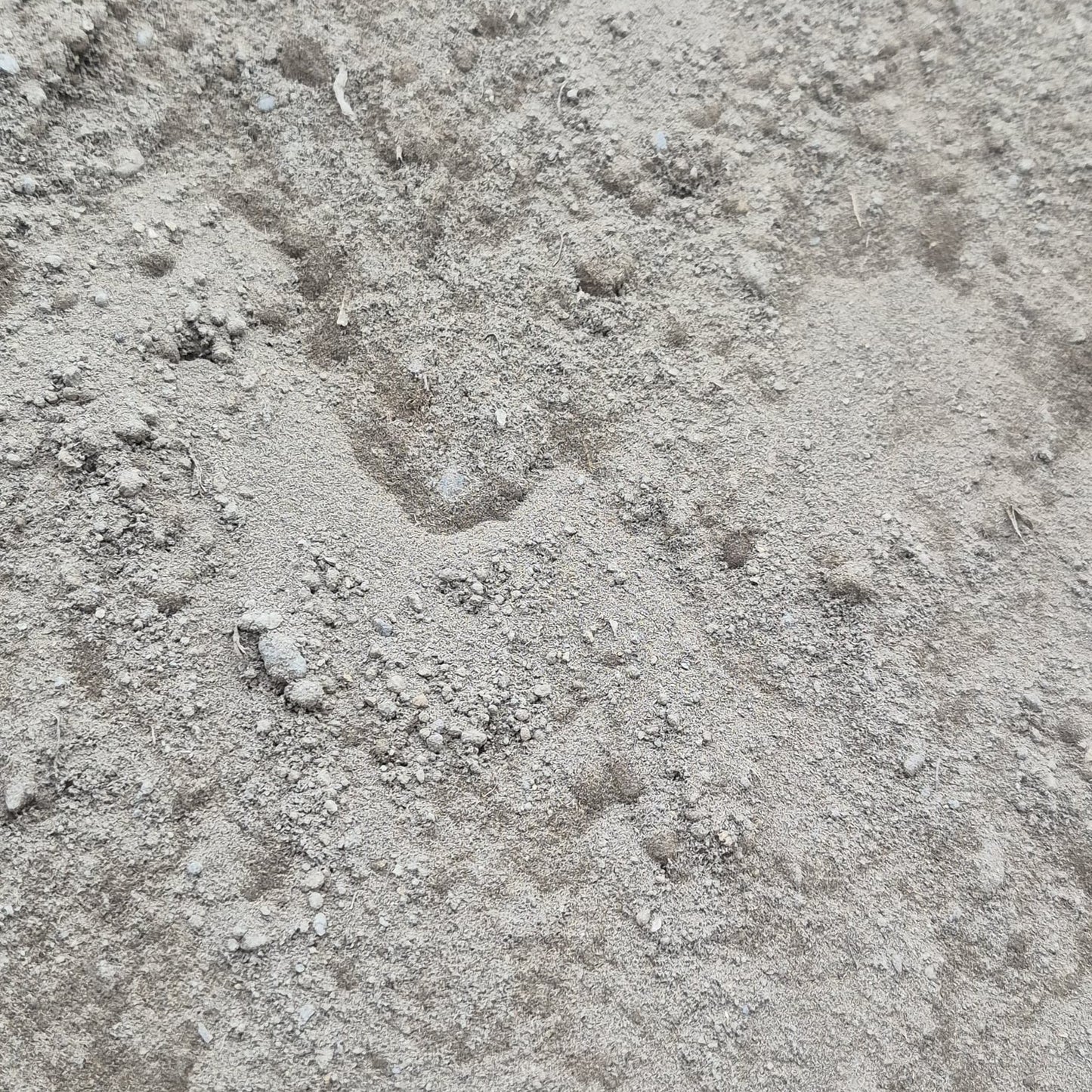 20mm Screened Topsoil (per ton)