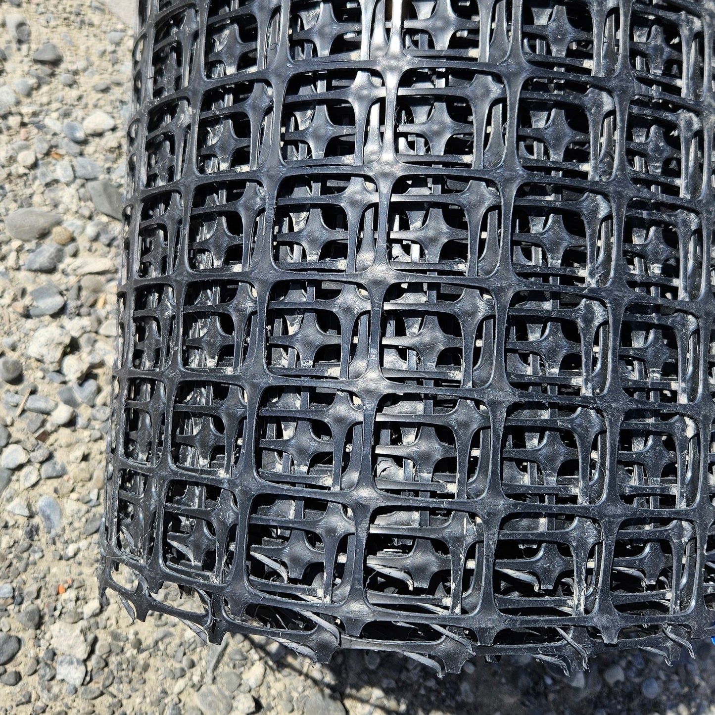 Duragrid 20/20 2x50m Roll (ea)